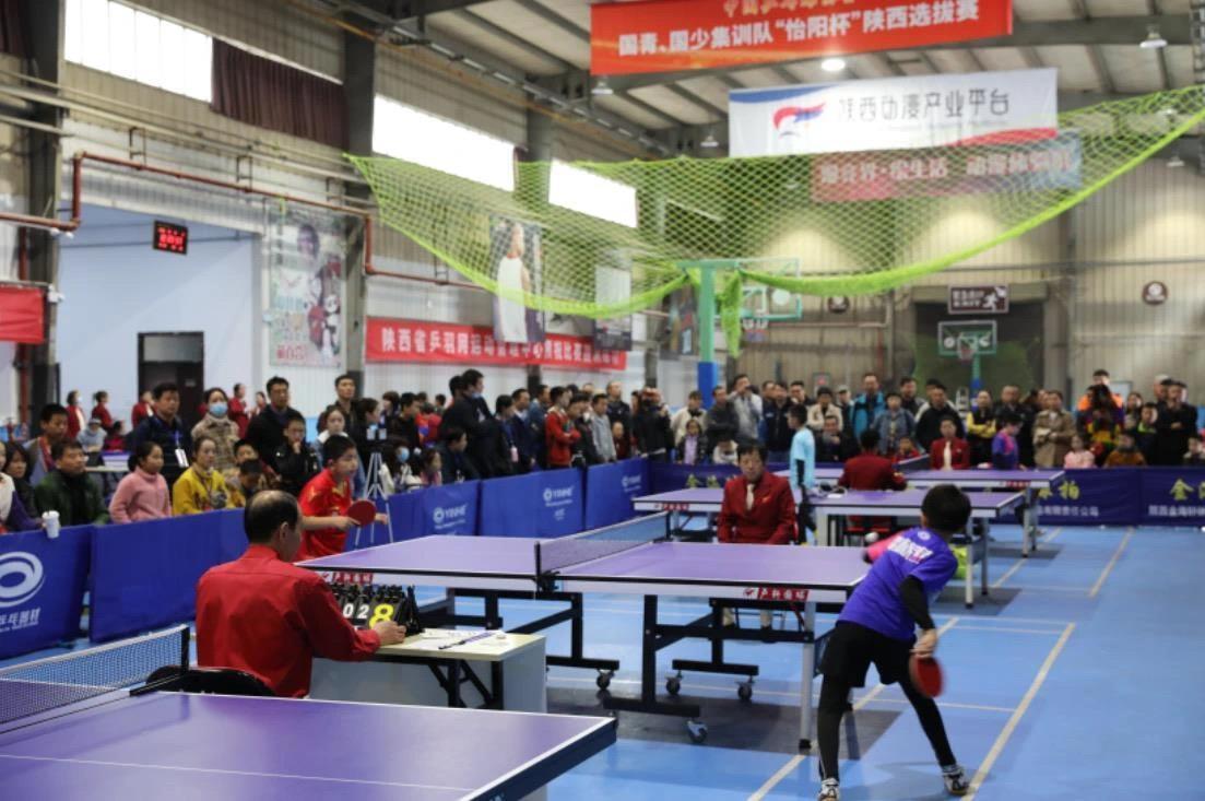 定了最有效 定了最有效