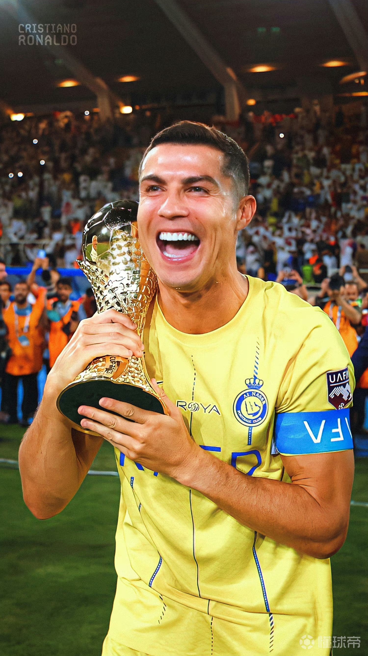 策略替代感 策略替代感